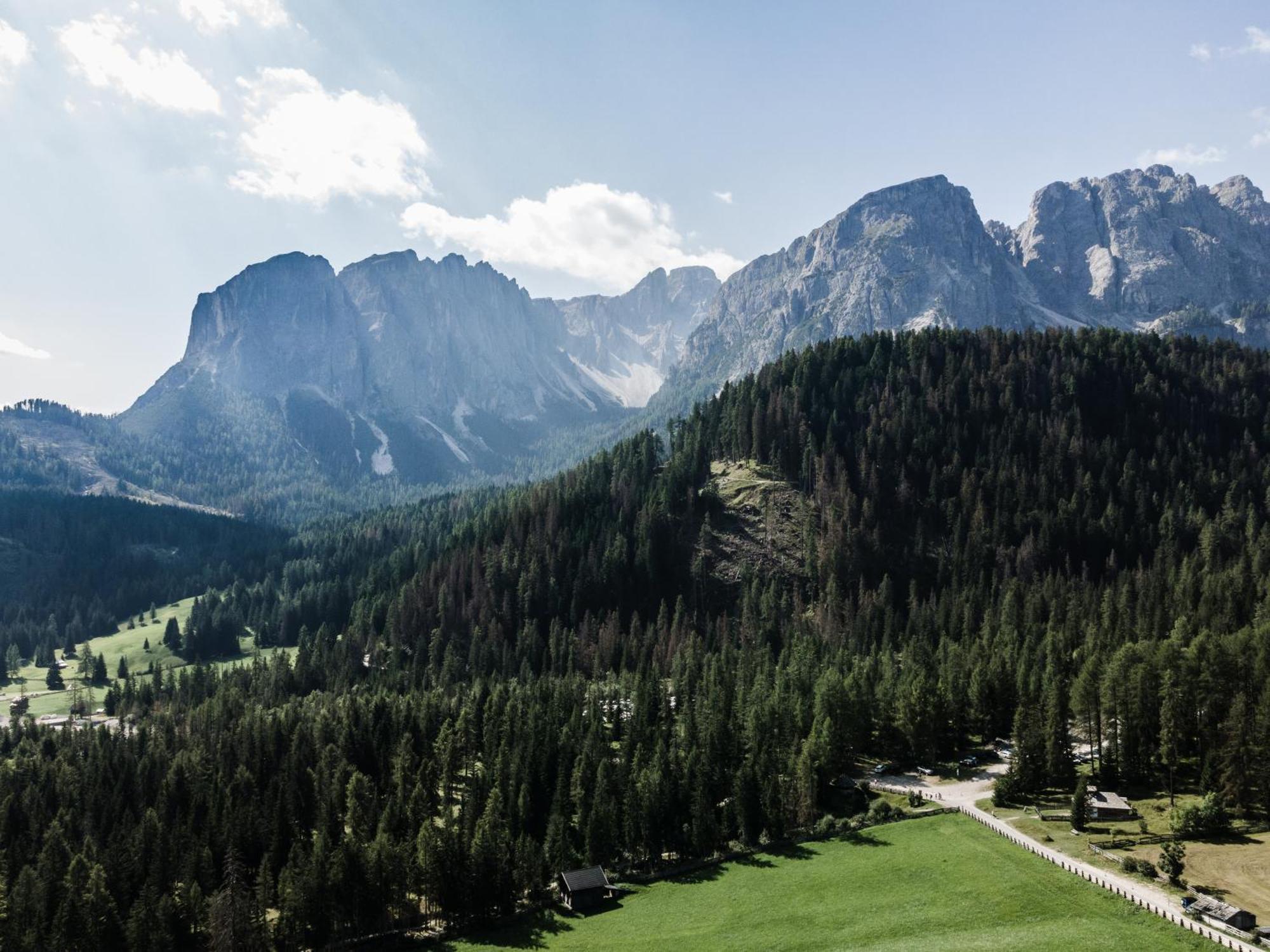 Hotel Pension Odles San Martino in Badia Exteriör bild